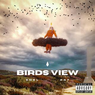 Birds View