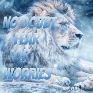 No Doubt Fear or Worries