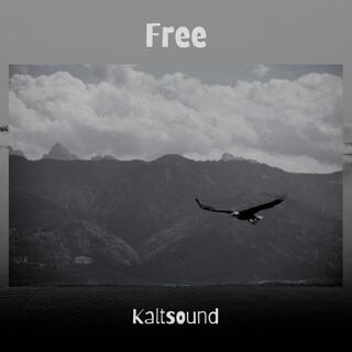 Free (Dub Techno)