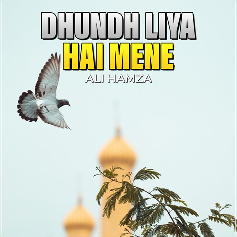 Dhundh Liya Hai Mene | Boomplay Music