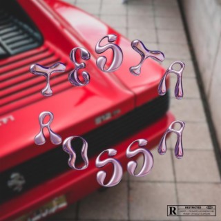 Testarossa lyrics | Boomplay Music