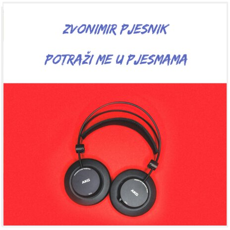 Potraži Me U Pjesmama ft. Zconimir Pjesnik | Boomplay Music