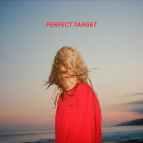 Perfect Target | Boomplay Music