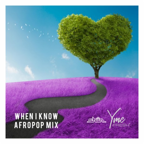 When I Know (feat. Shiin) (Afropop Mix) | Boomplay Music