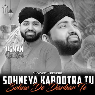 Sohneya Kabootra Tu Sohne De Darbar Te (Lofi-Mix)