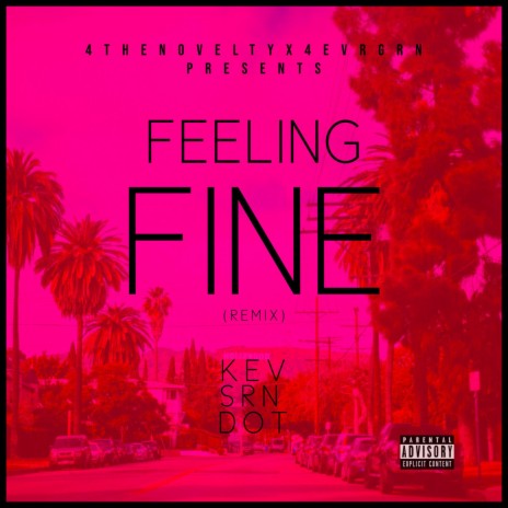 FEELING FINE (feat. SRN & Q DOT) (Remix) | Boomplay Music