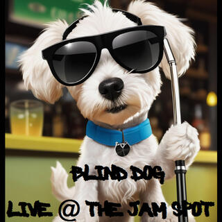 Live @ The Jam Spot