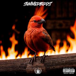 Summerbirds