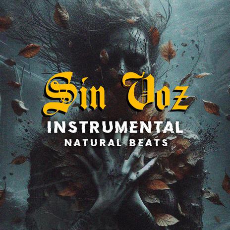 Sin Voz (Instrumental)