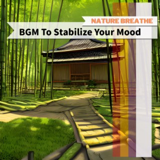 BGM To Stabilize Your Mood