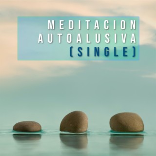 Meditacion Autoalusiva: Single