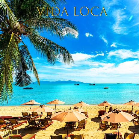 VIDA LOCA | Boomplay Music