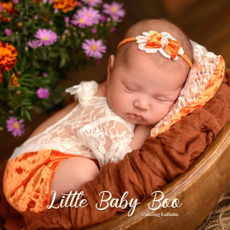 CANCIONES CRISTIANAS INFANTILES - Baby Lulu MP3 Download & Lyrics.