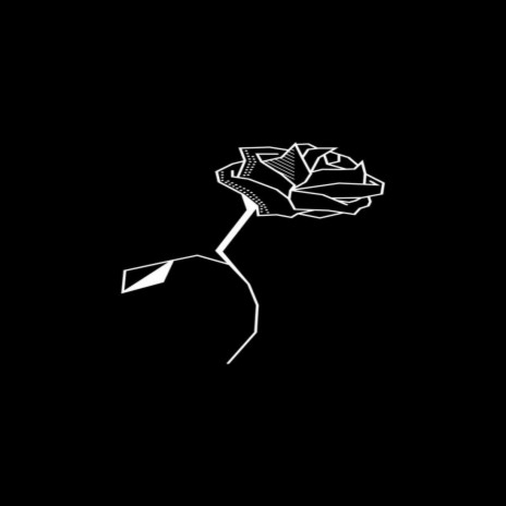 Black Roses | Boomplay Music