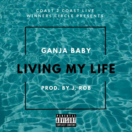 Living My Life | Boomplay Music