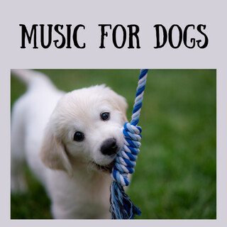 Music For Dogs