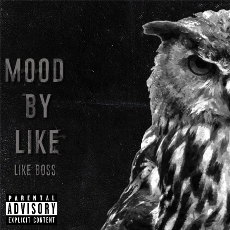 Like Boss | Boomplay Music