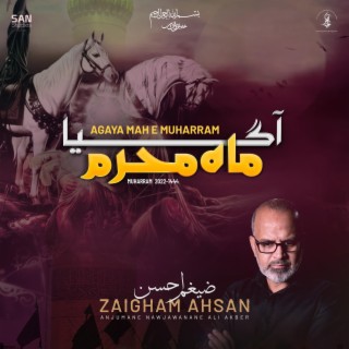 Agaya Mahe Muhurram lyrics | Boomplay Music