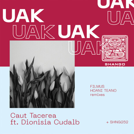 Caut Tacerea (Hoani Teano remix) ft. Dionisia Cudalb | Boomplay Music