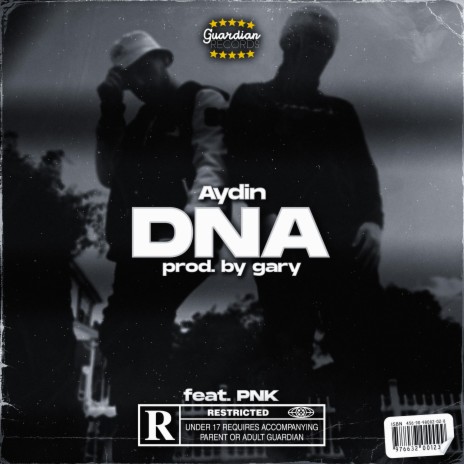 DNA ft. PNK | Boomplay Music