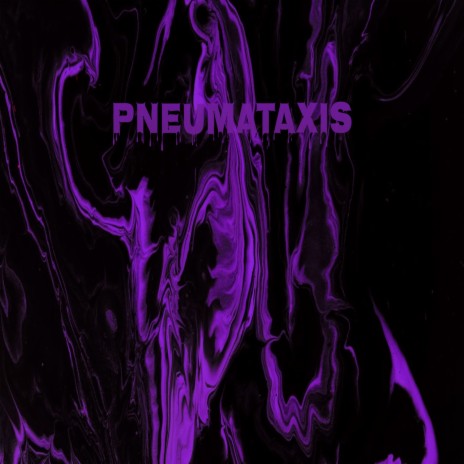 Pneumataxis - Всё Останется Как Есть MP3 Download & Lyrics | Boomplay