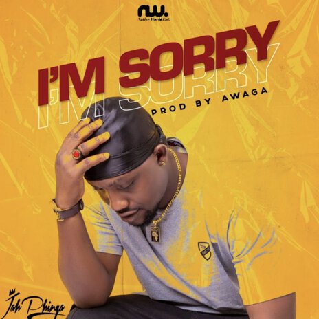 I'm Sorry | Boomplay Music