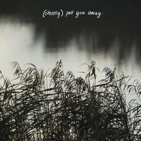 (silently) put you away | Boomplay Music