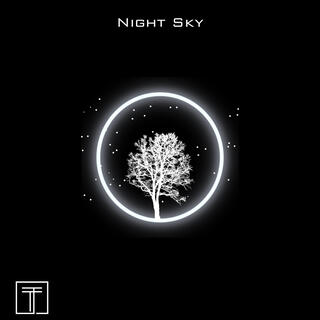 Night Sky