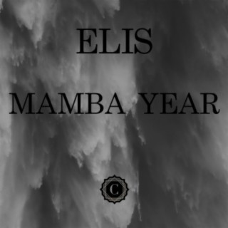 Mamba Year