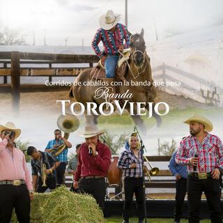 Corridos De Caballos Con La Banda Que Pesa