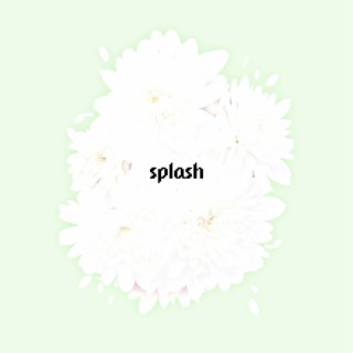 Splash