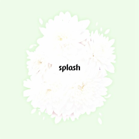 Splash | Boomplay Music