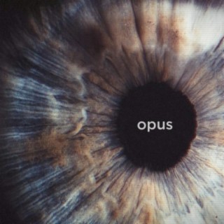 Opus (feat. Daniel Adair)