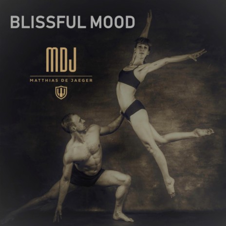 Blissful Mood | Boomplay Music