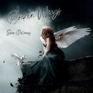 Broken Wings lyrics | Boomplay Music