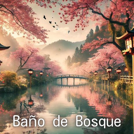 Ecos del Bosque | Boomplay Music