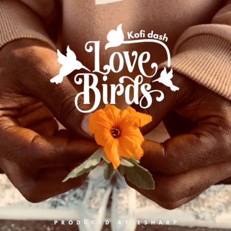 Love Birds | Boomplay Music