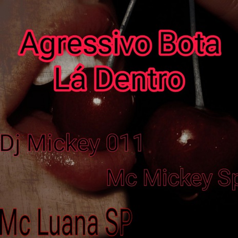 Agressivo Bota Lá Dentro ft. Dj Mickey 011 & MC Luana SP | Boomplay Music