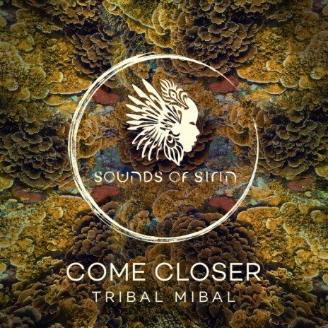 Tribal Mibal | Boomplay Music