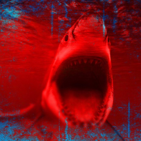 The Blood Red Shark | Boomplay Music