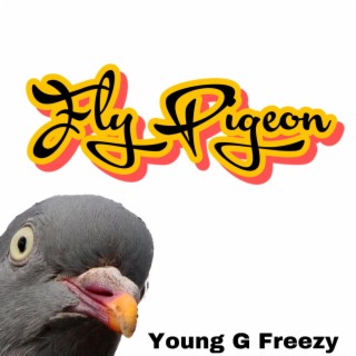 Fly Pigeon