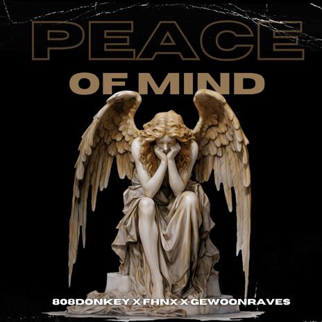 PEACE OF MIND ft. 808Donkey & GEWOONRAVES | Boomplay Music