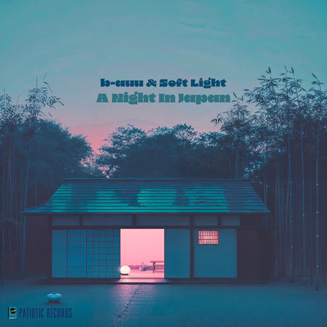 A night in Japan ft. Soft Light & Patiotic Records | Boomplay Music