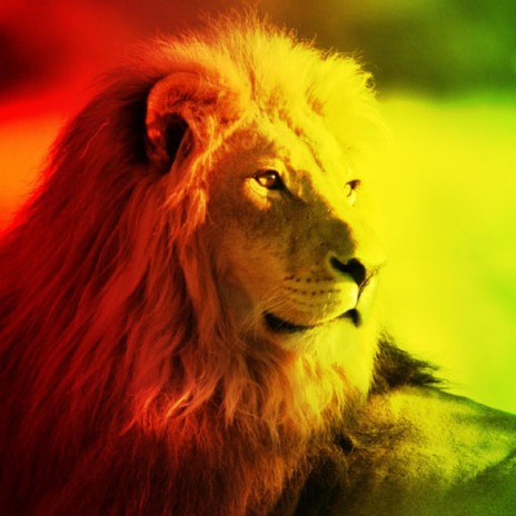 Rastafari Is Not Your Concern (feat. Heather Lioness Lindsey) | Boomplay Music