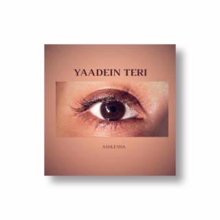 Yaadein Teri