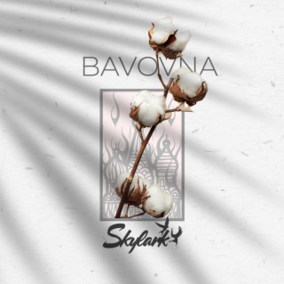 Bavovna