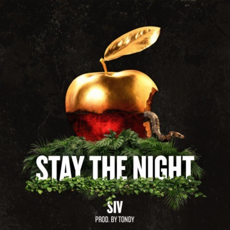 Stay the Night | Boomplay Music