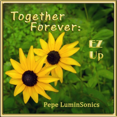 Together Forever: EZ Up | Boomplay Music