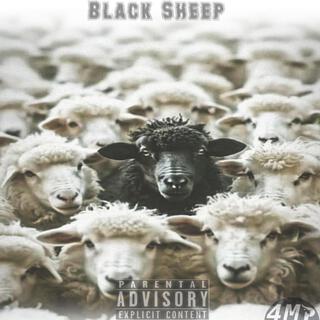 Black Sheep