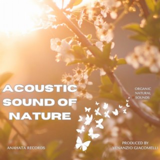 Acoustic Sound of Nature